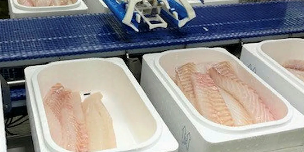 Fiskefabrikker fra Marel automatiseres ved hjelp av virtuell virkelighet og maskinlæring.