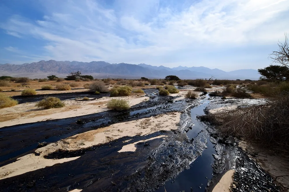 Oil spill: pipeline leaks gushes 'millions of litres' near nature preserve