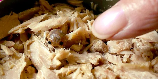 Surprise guest in Prince's canned tuna goes viral