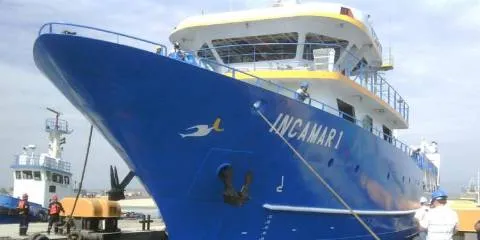 China Fishery engages in bidding war for Copeinca