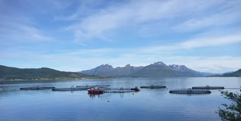 Troms capacity underutilized for salmon farming