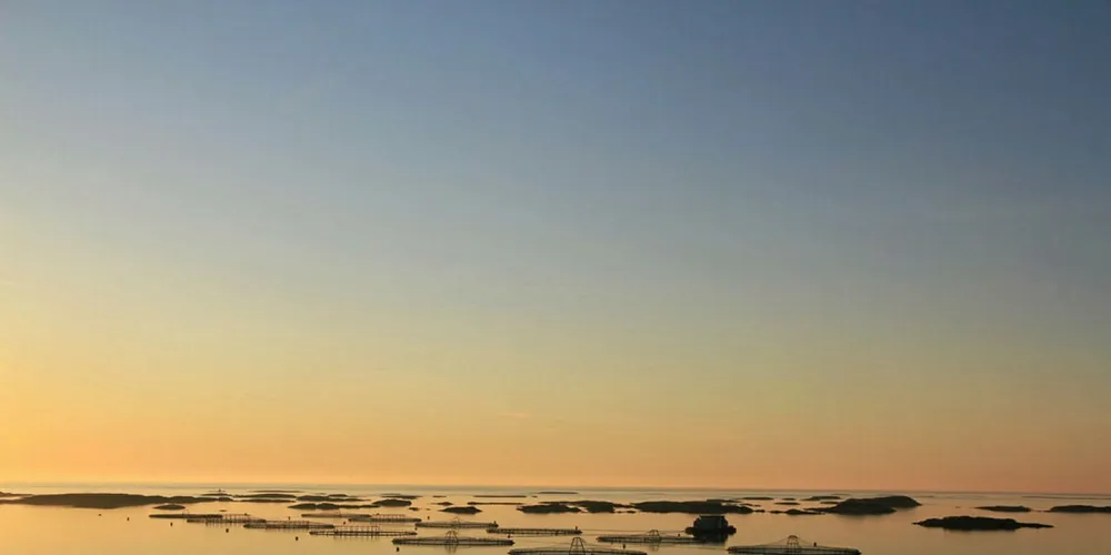 Lokalitetene er mange og store på kysten av Trøndelag. Bildet er fra Marine Harvests lokalitet Grøttingsøy utenfor Frøya som er på 7.020 tonn, og en av landets største.
