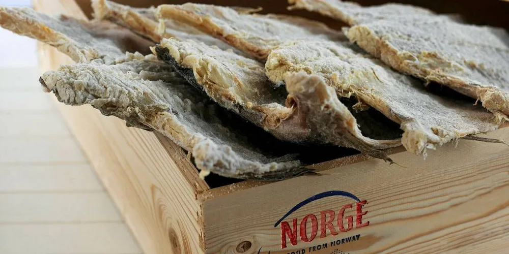 Norsk klippfisk: I 1993 var det 36 anlegg som produserte klippfisk i Norge mot 21 anlegg i dag. Produsentene har imidlertid økt produksjonsvolumet av klippfisk.Ill-foto: Tom Haga