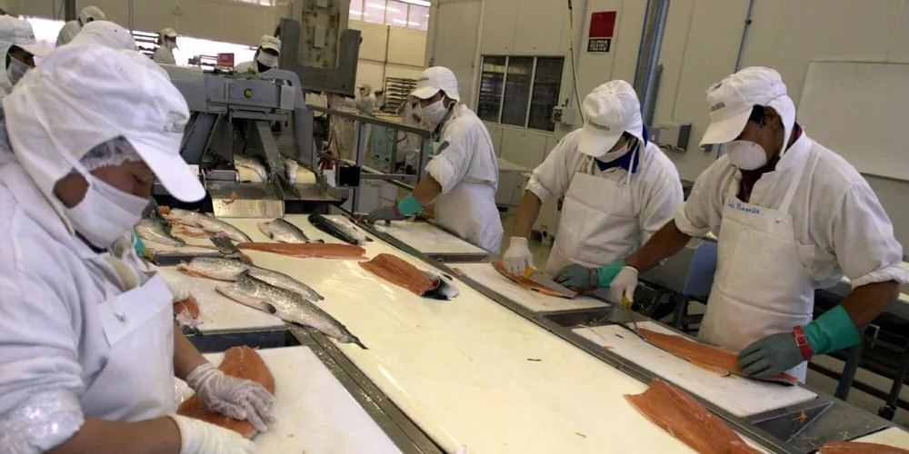 Chilean salmon are still Norwegian