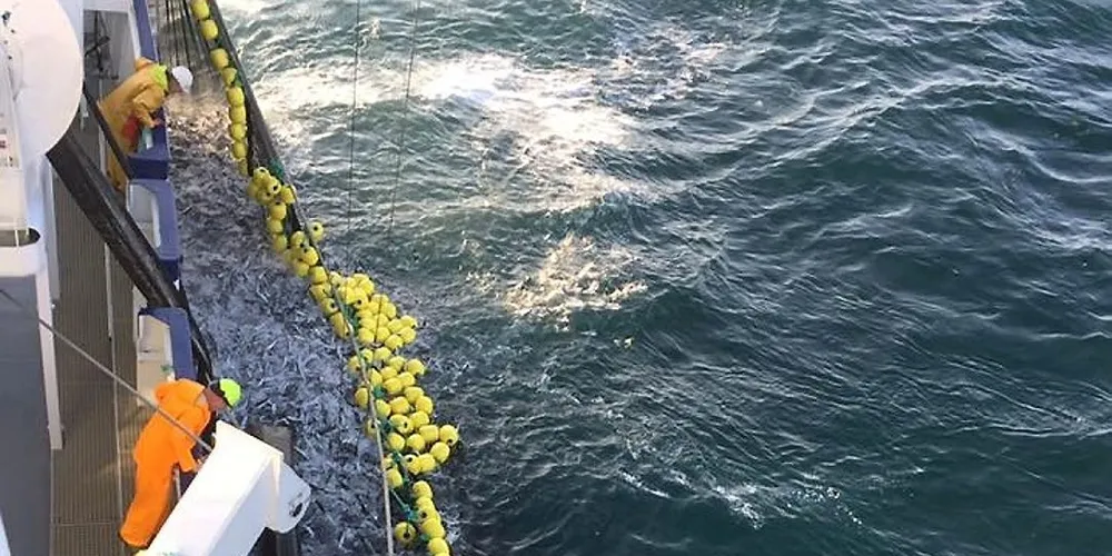 Svært gode makrellpriser har satt fart på Sildelagets omsetning. Her er «Fiskebas» i aksjon på feltet. Foto: privat