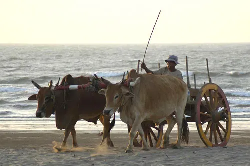 On the move: on a beach in Burma