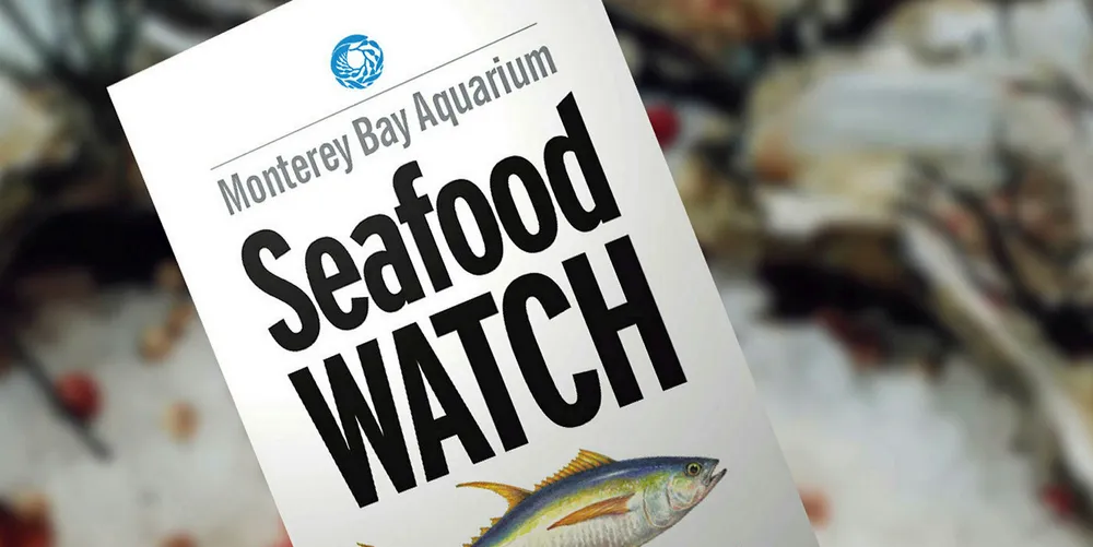 On Thursday, Chile’s National Service of Fisheries and Aquaculture (Sernapesca) temporarily suspended Nova Austral’s antibiotic-free certification in light of an investigation opened by Sernapesca into the company’s alleged misreporting of mortalities.