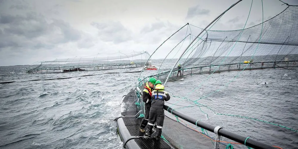 NÆR 100 MILLIARDER: Verdiskapningen innenfor norsk sjømatnæring fortsetter å vokse.Foto: Ole Morten Melgård