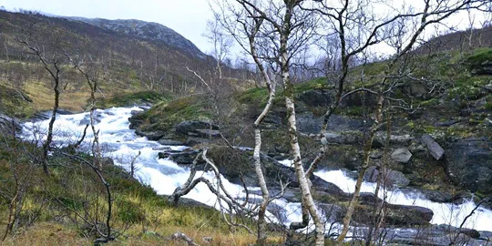 Blåfall-del er solgt