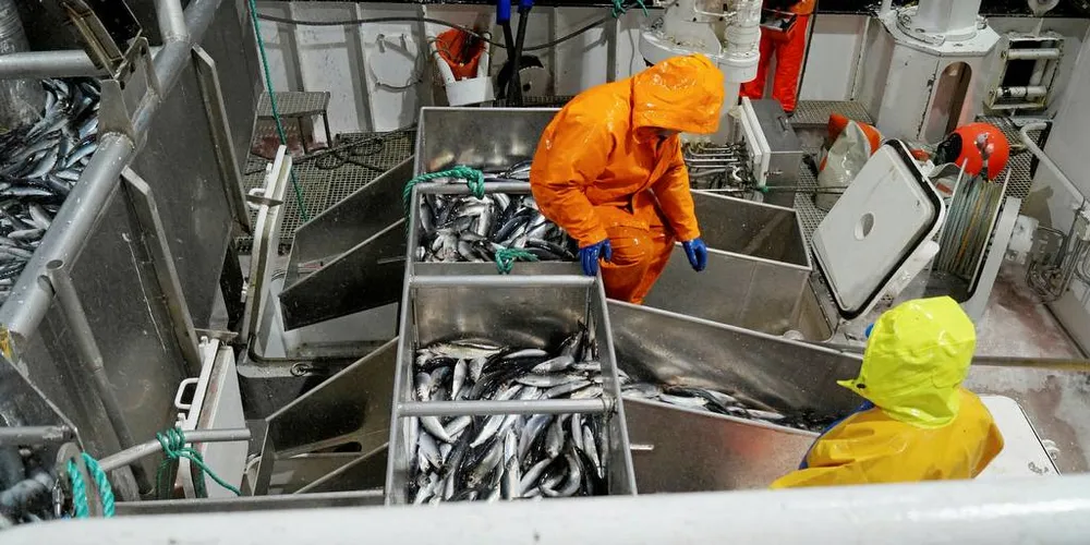 PÅ VEI: NVG-silda har god fart mot norskekysten, melder flåten.Illustrasjonsfoto: Kystvakten/Fiskeridirektoratet
