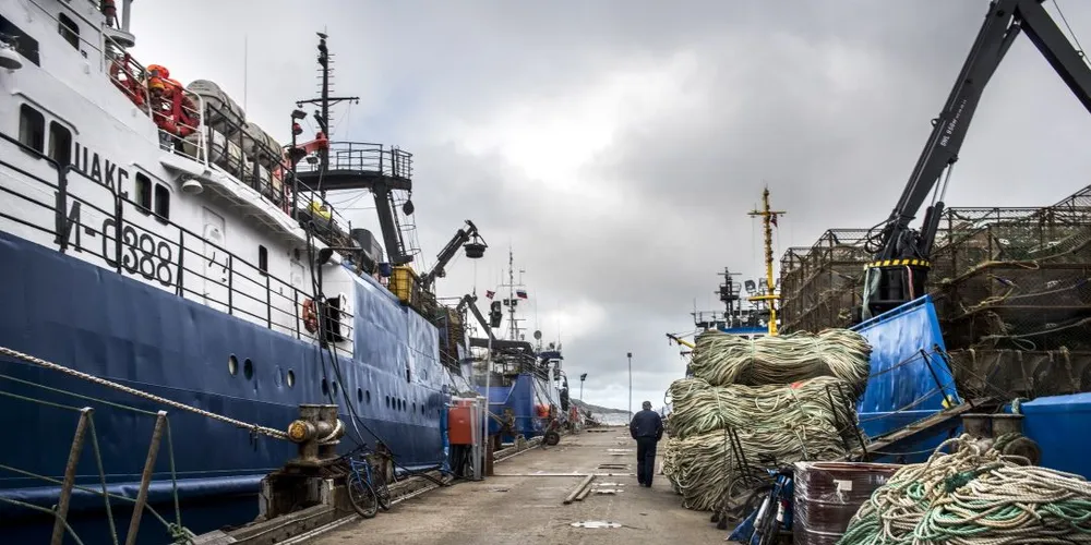 Russerne kan komme til å tvinge alle russiske fartøy til å lande fisken for bruk på hjemmemarekdet, tror russlandekspert Christen A. Mordal. Foto: Klaudia Lech