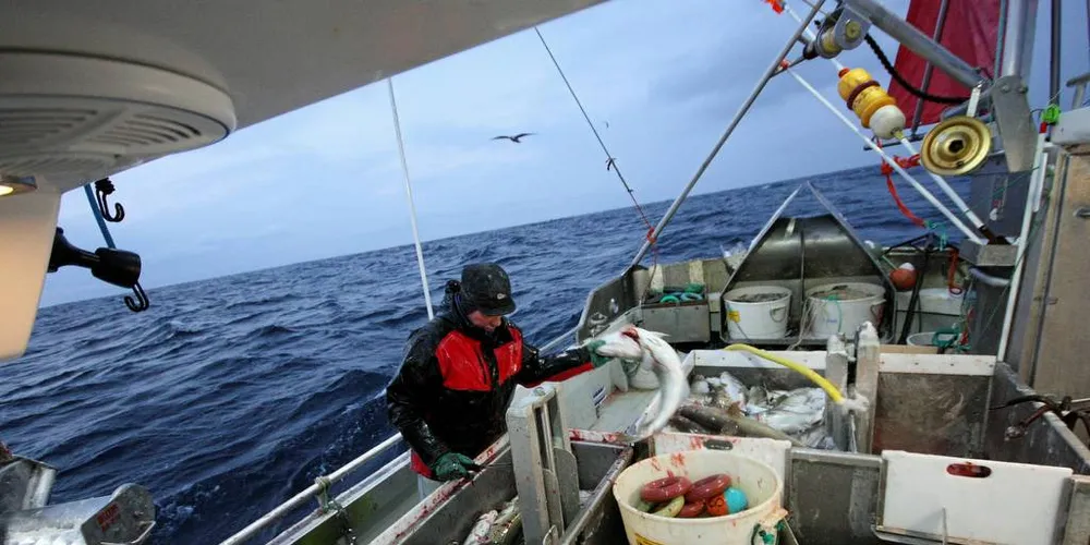 SJARKFISKE: Kystflåten bidrar til å skape aktivitet blant de mange fiskemottakene langs kysten. Derfor advarer vi mot en strukturering under 11 meter, som kan føre til en halvering av den minste flåten, skriver Ap-representant Cecilie Myrseth.Illustrasjonsfoto: Arne Fenstad