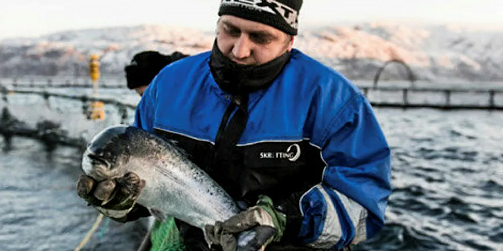 A Russian Aquaculture salmon farm.