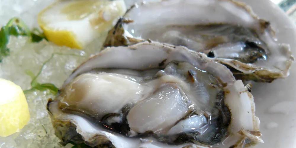 Aotearoa Fisheries rebrands to Moana New Zealand