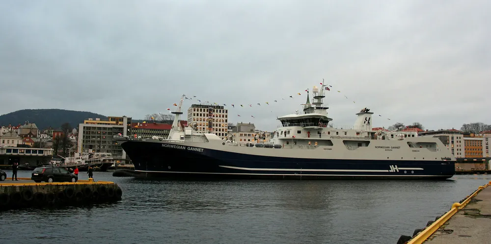 Slaktebåten Norwegian Gannet da den ankom Bergen 16. november i fjor.