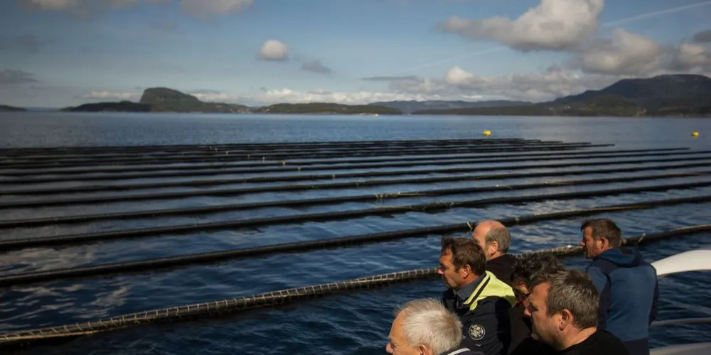 Befaring av eierløse blåskjellanlegg i Rogaland. Foto: Kystverket/Anne Grethe Nilsen