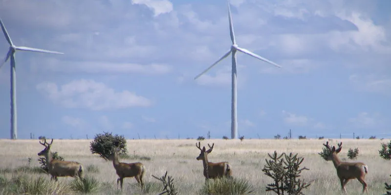 Wood Group wins Cielo Wind turbine services contracts