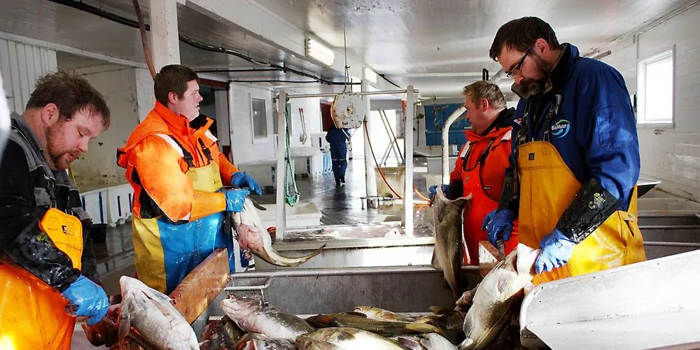 Mange fiskemottak har fortsatt en jobb å gjøre før Fiskeridirektoratets krav til journalføring av alle operasjoner ved bedriften er innfridd. Ved årsskiftet går dispensasjonen fra journalforskriften ut. Arkivfoto: Knut Arne Valø