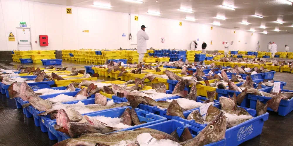 International fish market hunting for MSC certification