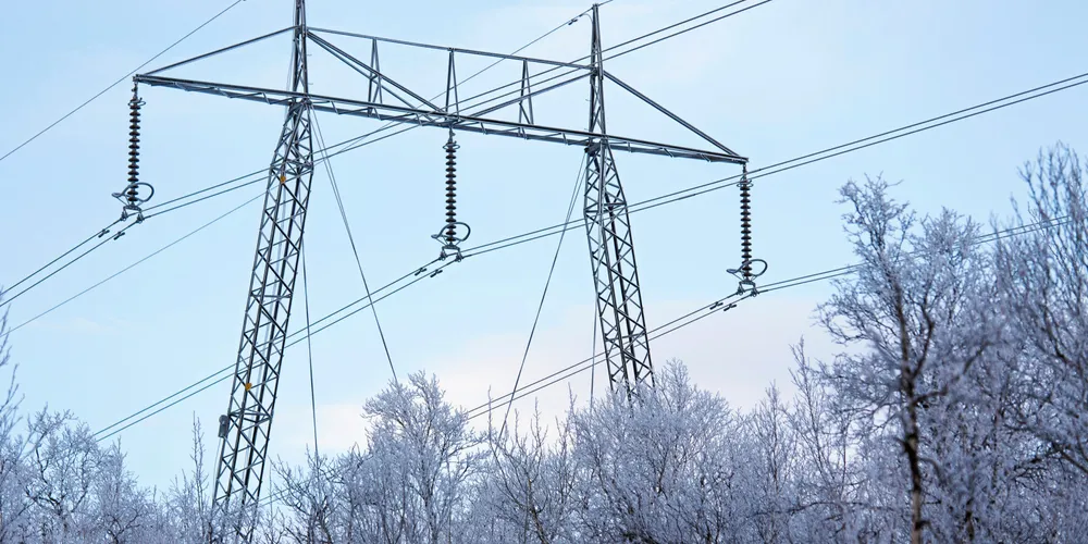 Svenska kraftnät samarbeider med Energimyndigheten og Energimarknadsinspektionen for å løse utfordringer knyttet til elektrifiseringen av samfunnet. Samfunnsbedriftene er positive til slikt samarbeid, mens Fornybar Norge og Distriktsenergi peker på politikerne og NVE.