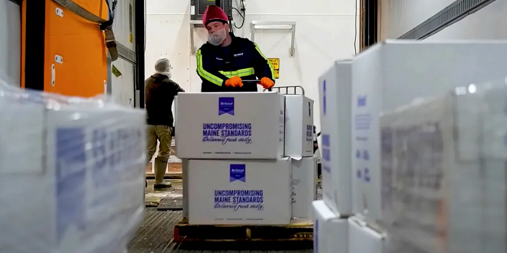Shipping fish at Bristol Seafood.