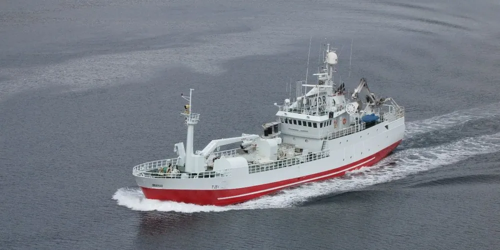 Flere båter har levert hele nordsjøsilda til oppmaling grunnet dårlig interesse hos konsum-kjøpere i Norge. - Fryktelig trasig, mener skipper på Frantsen Junior, Tore Bjørsvik. Arkivfoto: Jon Eirik Olsen