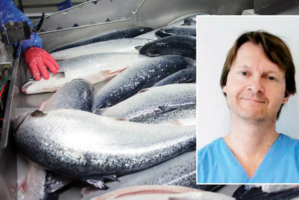 Den mediesky privatinvestoren og øyelegen Ole Morten Halvorsen har tjent seg søkkrik på å investere i oppdrettsselskaper på børs.