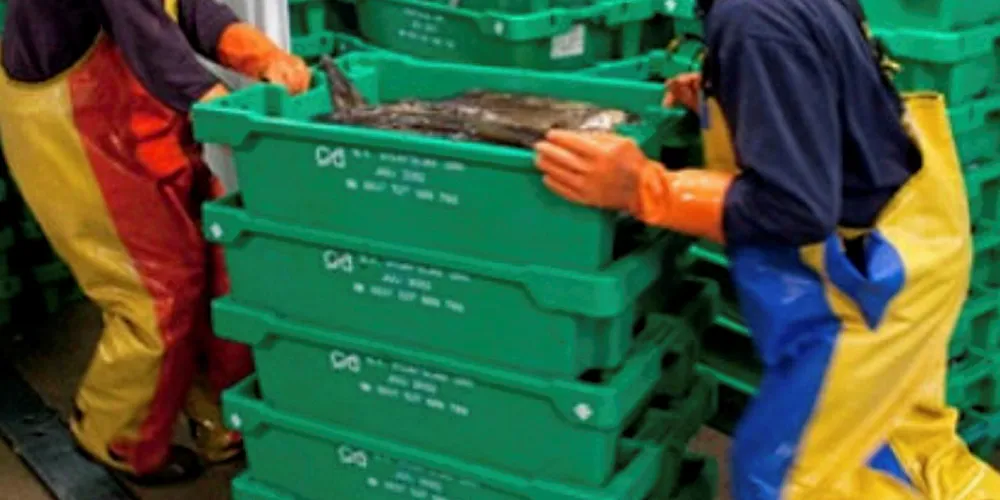Dutch partner takes over van der Zwan trading arm business. Ekofish.