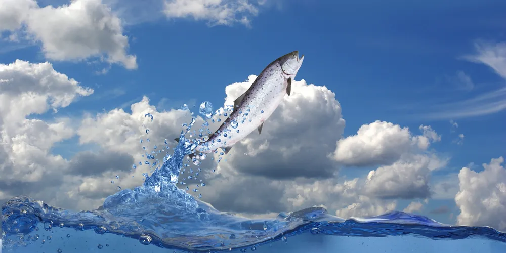 Photo: Shutterstock