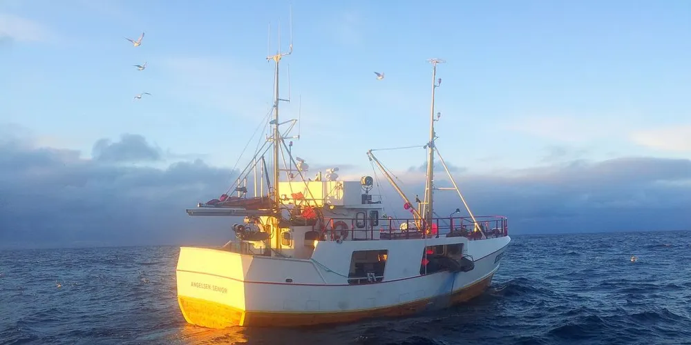 Enkelte fine dager på feltet har det vært denne vinteren også, men storm og uvær er likevel hovedårsaken når ”Angelsen Senior” foreløpig ligger et godt stykke bak landingstallene fra 2014. Foto: Stian Johan Angelsen