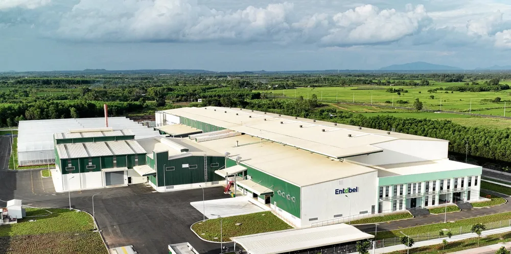The new Entobel facility features 50 levels of vertical rearing, incorporating automation via robotics, cutting-edge sensors and data analytics that enhance productivity.