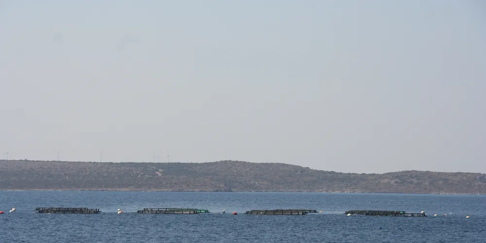 IFFO cautions evaluating fish dependency ratio in aquaculture assessments