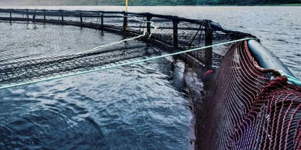 Scottish Salmon Company sea water production site, Loch Carron, StromeScottish Salmon Farm, Scotland.