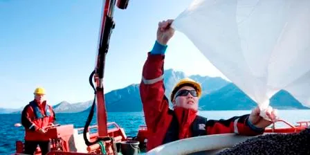 No signals forthcoming about sell-off in Cermaq