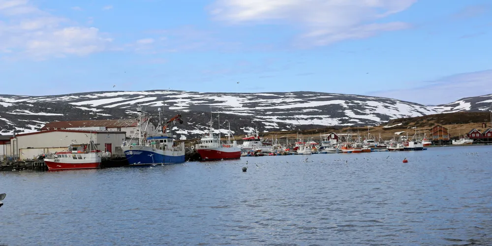 Fiskere i Gamvik kommune er åpne for at det blir oppdrettsvirksomhet i kommunen. Her er flåten i Mehamn.