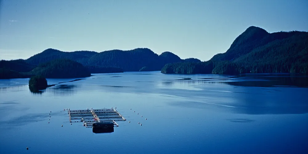 PHOTO: Creative Salmon Co. operations in Tofino, British Columbia.