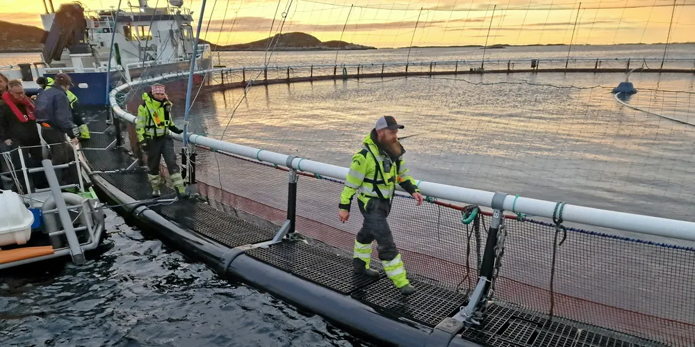 Norcods lokalitet Jamnungen på Frøya er blant det selskapet trekker frem i sin oppdatering.