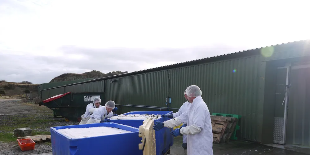 Linnaeus-backed UK farmer shuts down seabass operations