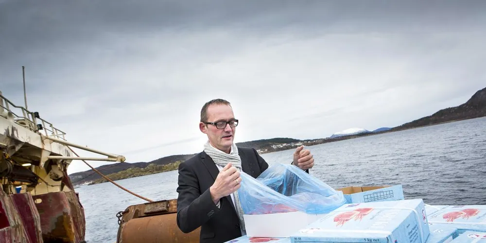 Prisene på industrireker vil holde seg på mellom 20 og 25 kroner i 2017, tror Knut Helge Vestre i Coldwater Prawns of Norway. Arkivfoto: Ole Morten Melgård