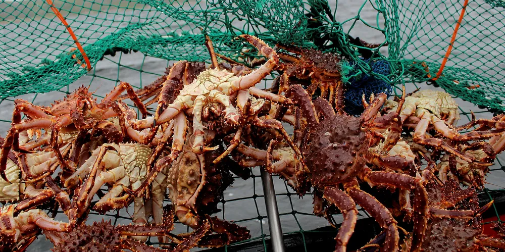 Russia's got a brand new bag when it comes to its crab quota.