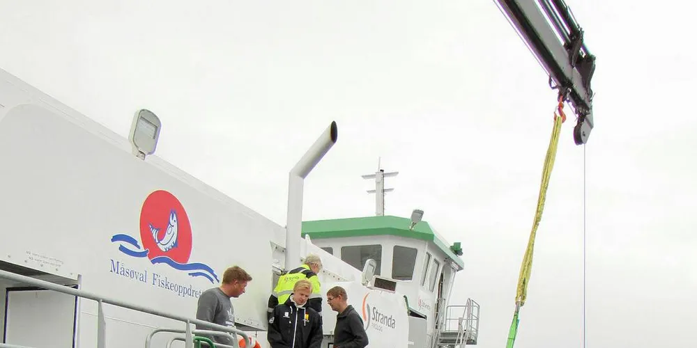 UNDER ETTERFORSKNING: Både Lerøy Midt og Måsøval fiskeoppdrett er under etterforskning for luseangrepene på laksen i anleggene i fjor høst. Mye av fisken skal ha nær blitt spist opp av lus.