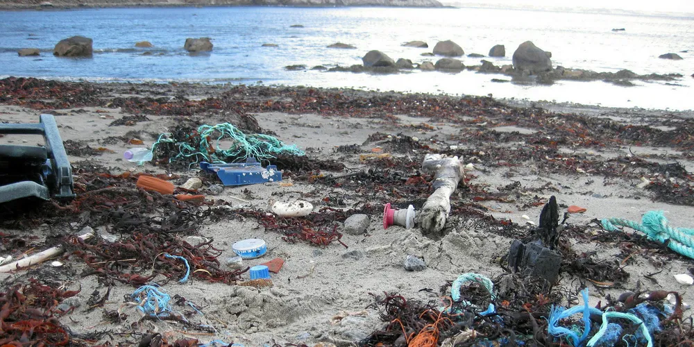 Tau og plast fra fiske og oppdrett er et stort avfallsproblem i havet og på strendene.