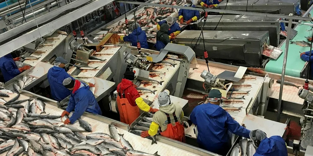 Silver Bay Seafoods is one of several companies in Alaska scrambling to hire workers this summer.