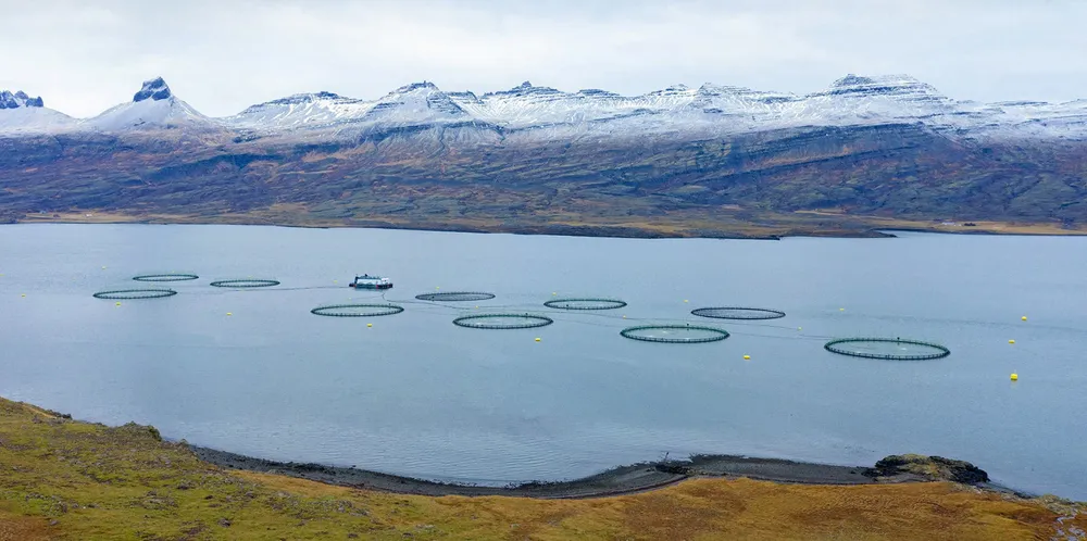 Ice Fish Farm, som holder til på Island.