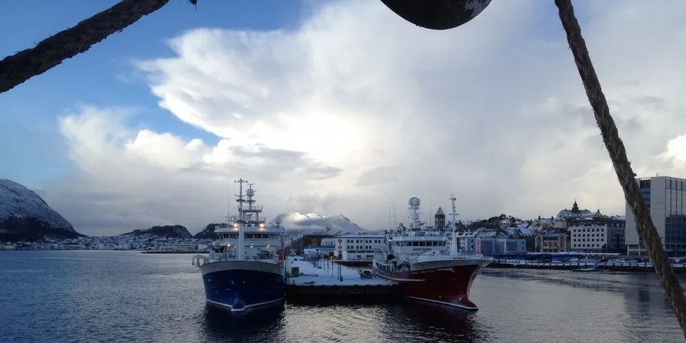 Toktfartøyene må søke ly i Bodø Havn for uværet "Ole". Her "Ligrunn" til venstre og "Inger Hildur" til høyre til kai i Ålesund før toktet startet mandag denne uken. Foto: Aril Slotte/Havforskningsinstituttet