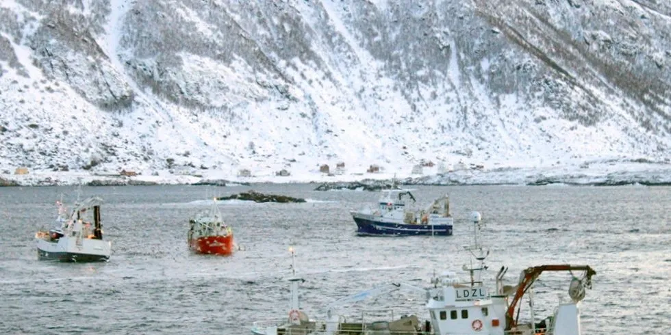 Kystnært sildefiske som på bildet vil for mange fartøyer være utelukket med dagens fjordlinjeregler. Uforståelig, mener Landsstyret i Norges Fiskarlag. Foto: Kystvakten / KV ”Harstad”