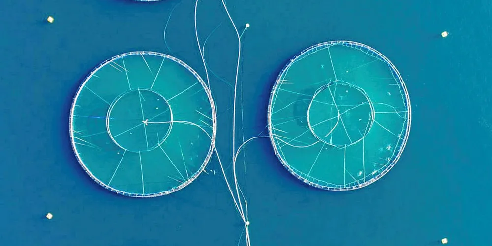 The seafood industry is lacking innovation. What can start-up accelerators like Hatch do to change it?