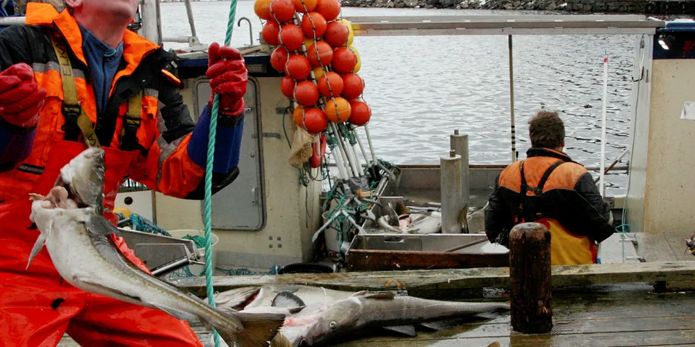 2021: Kvoterådene for fiskebestandene i Barentshavet for 2021 presenteres i dag.