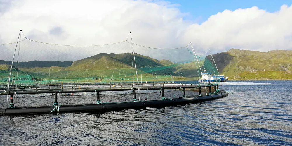 Statens auksjoner av oppdrettskonsesjoner foregår annethvert år. Derfor blir utbetalingene til kommunene ujevne. i 2018 fikk kommunene i Finnmark utbetalt 226 millioner. Bildet er fra Grieg Seafood Finnmarks anlegg i Nordkapp kommune.