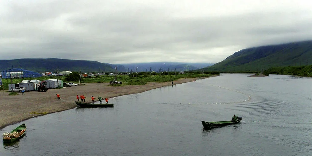Russia's wild salmon season officially starts on June 1.